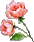 Flower04b1