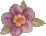 Flower02g1